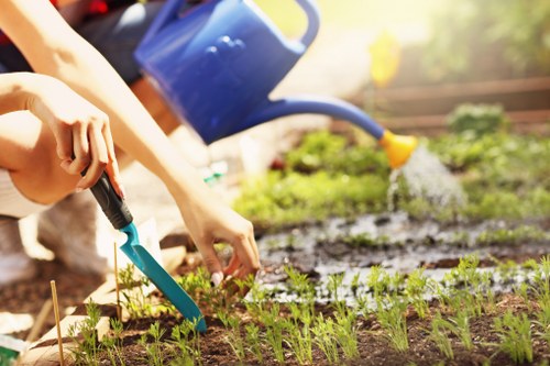 Gardening service terms and conditions introduction
