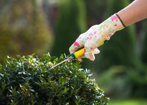 Professional lawn mowing in Hatton on a tidy residential garden