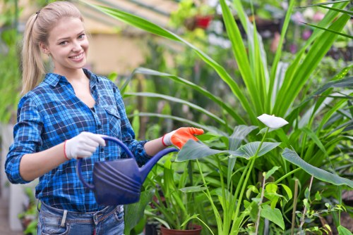 Seasonal garden maintenance in Hatton with healthy planting beds