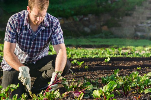 Supervision and safety review during garden maintenance work