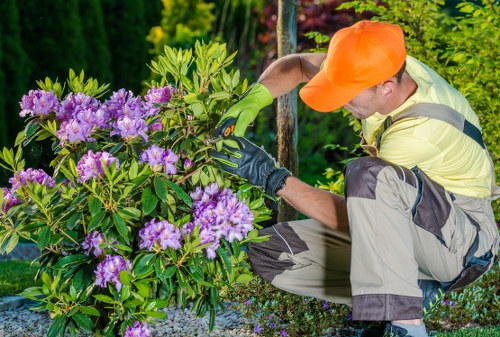 Soft landscaping in Hatton with seasonal plants, lawn, and decorative finishes