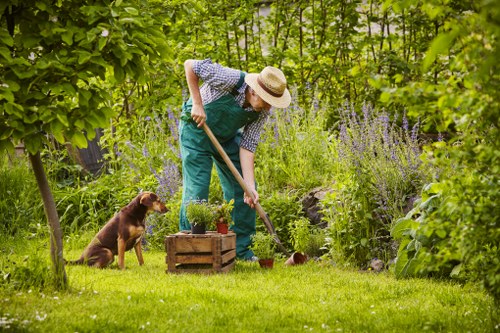 Low-maintenance landscaping in Hatton with structured planting