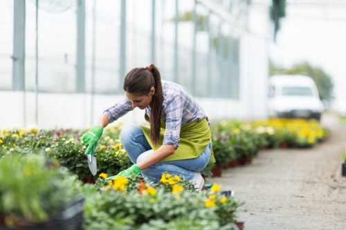 Local gardening expertise and seasonal maintenance in Hatton