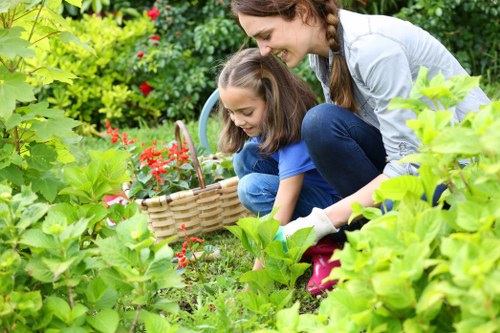 Healthy green lawn care in Hatton with neat turf and seasonal maintenance