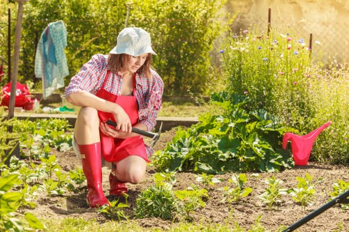 Gardening services in Hatton for a tidy residential garden