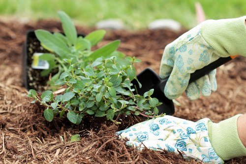 Annual review of anti-slavery controls at Gardeners Hatton
