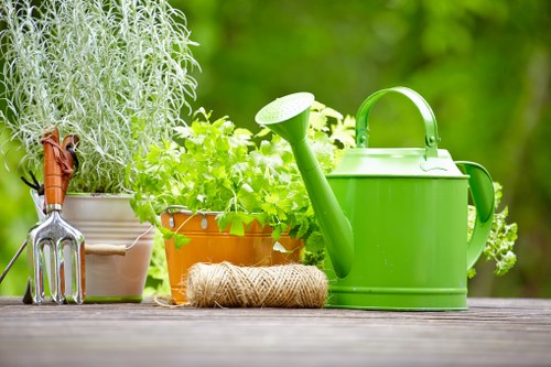 Removing moss and algae during patio cleaning in Hatton