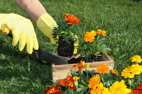Professional patio cleaning for stone paving in Hatton