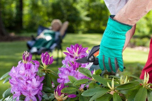 Hatton gardeners working safely in a residential garden