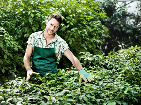 Charitable reuse of garden tools and materials in Hatton