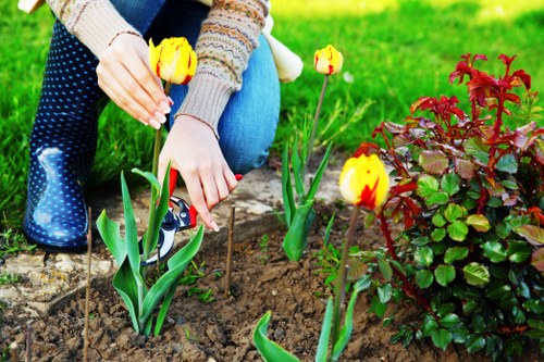 Modern garden design in Hatton with durable materials