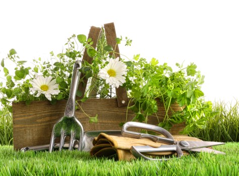 Staff training and PPE used by Gardeners Hatton