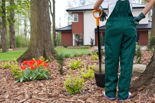 Professional garden clearance removing green waste in Hatton