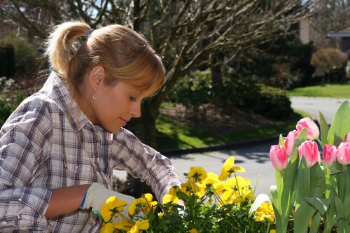Restoring an overgrown garden in Hatton with expert care