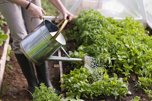 Professional garden maintenance in Hatton for a neat outdoor space