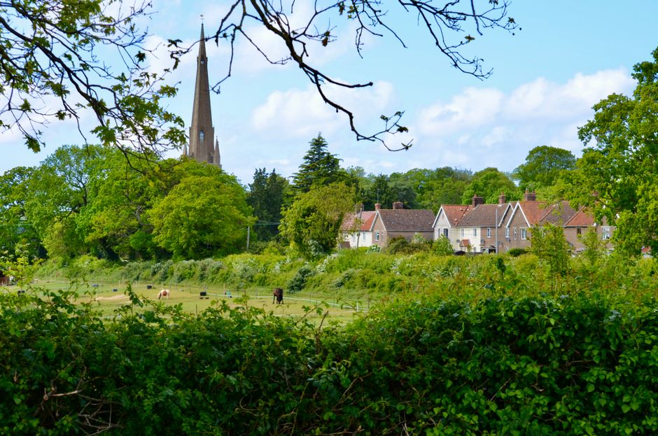 An aerial view of a small village with a row of terraced houses and gardens along a narrow main road, surrounded by expansive green fields and farmland. The gardens feature well-maintained lawns, flow